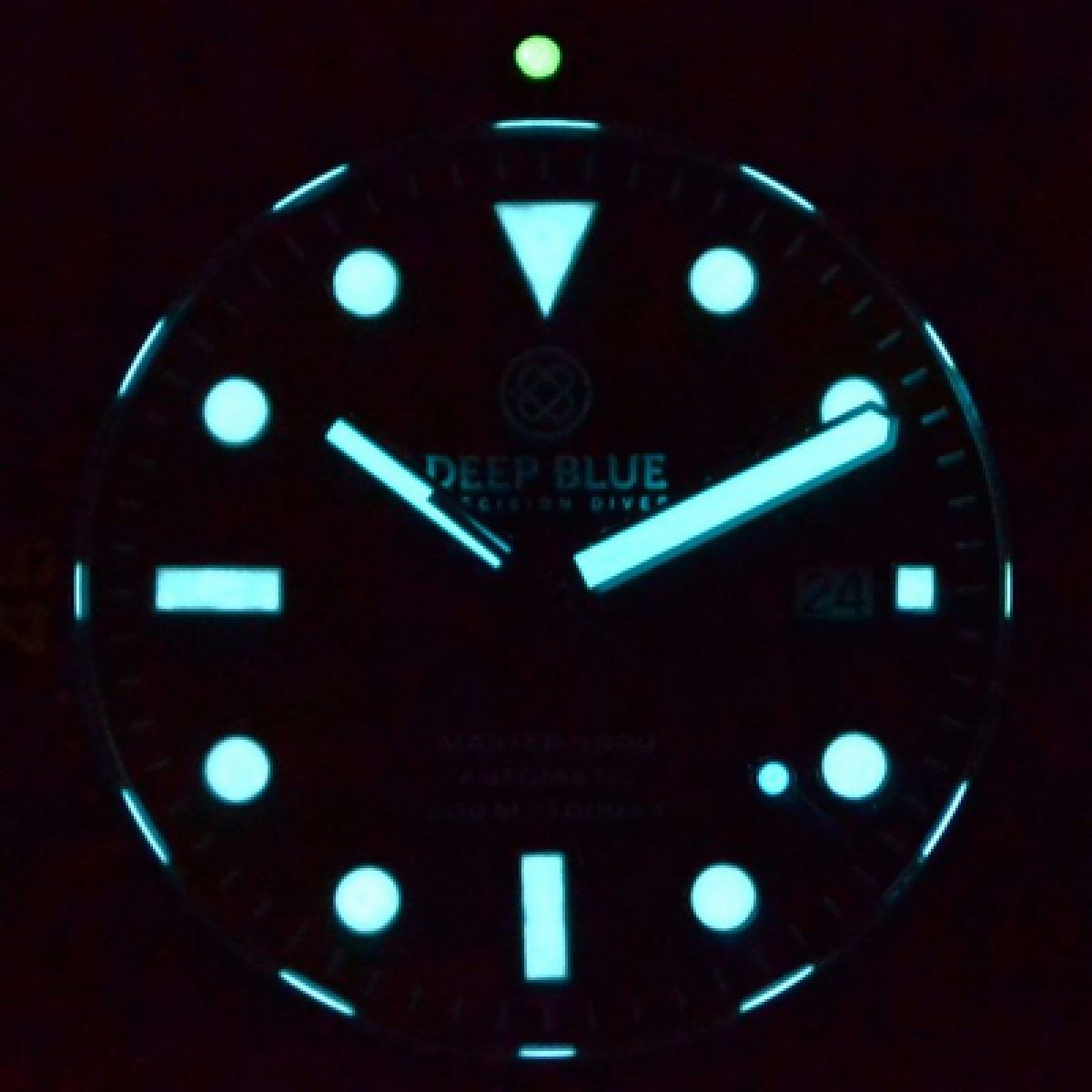 MASTER 1000 AUTOMATIC DIVER BLACK BEZEL