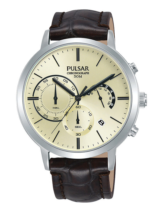 Pulsar PT3991X1 Heren Horloge 42mm 5ATM