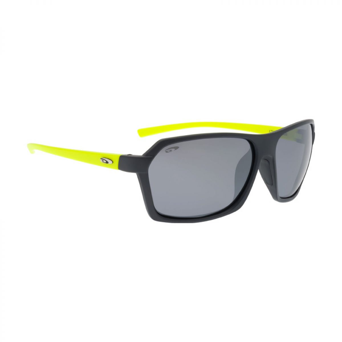 Goggle E923-4P Zonnebril Gepolariseerd Heren